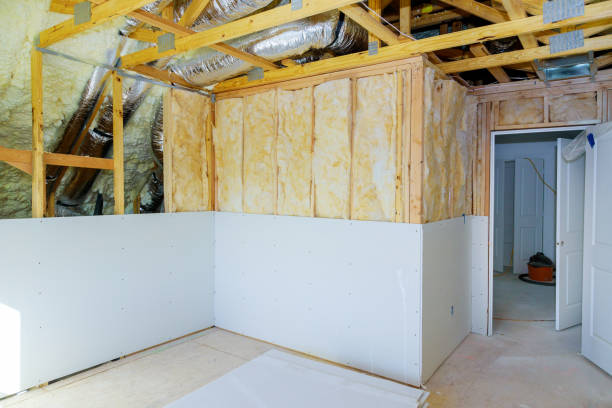 Best Insulation for New Construction  in Makawao, HI