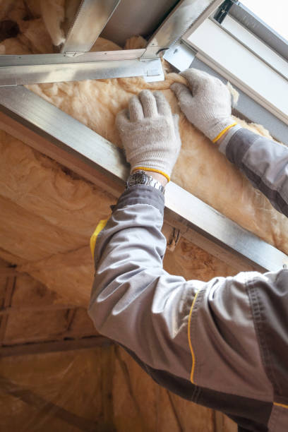 Best Fiberglass Insulation  in Makawao, HI